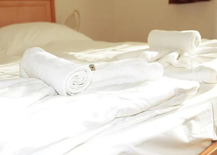 Hotel Halaszkert Badacsony 2*