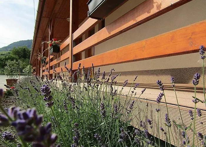 Halaszkert Badacsony 2*